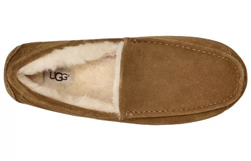 UGG Ascot Slipper Chestnut nazúvacie papuče gaštanové — produktová fotografia na bielom pozadí, bočný pohľad