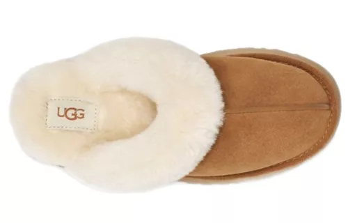 UGG Disquette Slipper Chestnut dámske nazúvacie papuče gaštanové — produktová fotografia na bielom pozadí, bočný pohľad