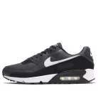 Nike Air Max 90 Iron Grey pánske nízke mestské tenisky sivé