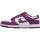 Nike Dunk Low Retro 'White Viotech'