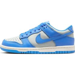 Nike Dunk Low 'Light Silver Sail Light Photo Blue'