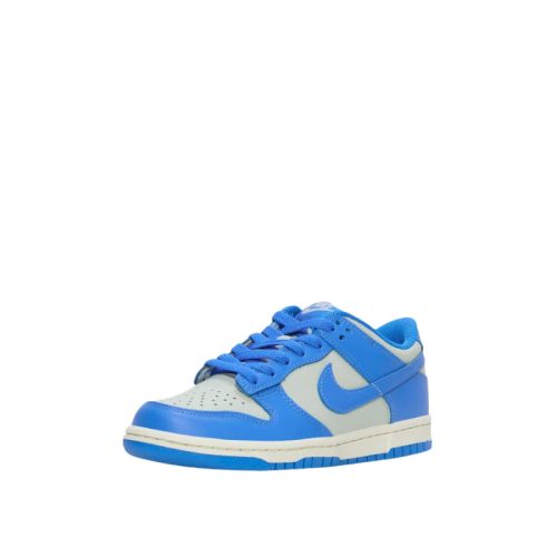 Nike Dunk Low 'Light Silver Sail Light Photo Blue'