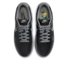 Nike Dunk Low Berlin nízke streetové tenisky — produktová fotografia na bielom pozadí, bočný pohľad
